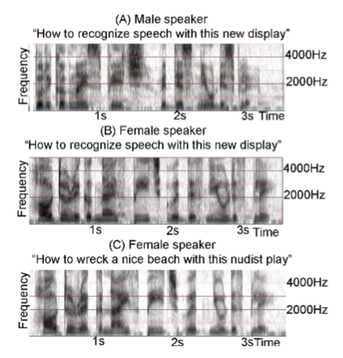 image-20260102115318734