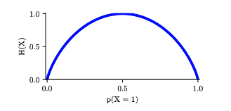 image-20250202161356944