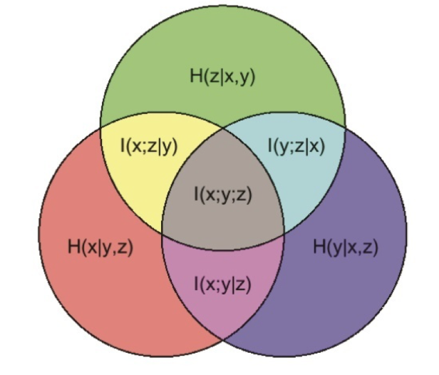 image-20250210231031729